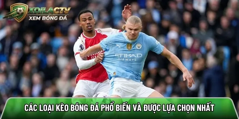 Tổng hợp các tiêu chí quan trọng khi soi kèo bóng đá